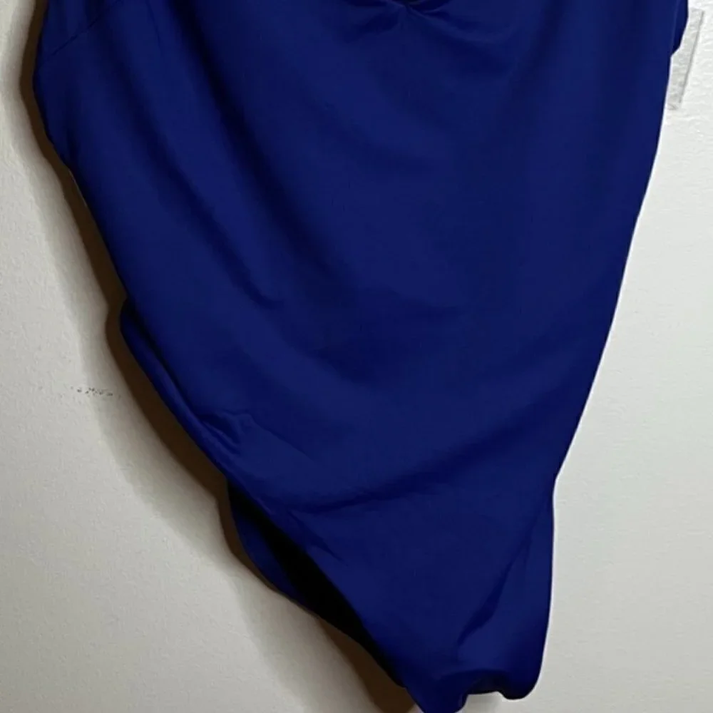 Vitamin A Jadon Plunge High Leg Swimsuit Women's14 EcoLux Blue 19284